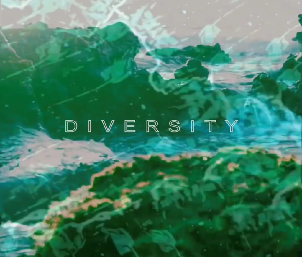 Artwork for Diversity from Neu Ventura