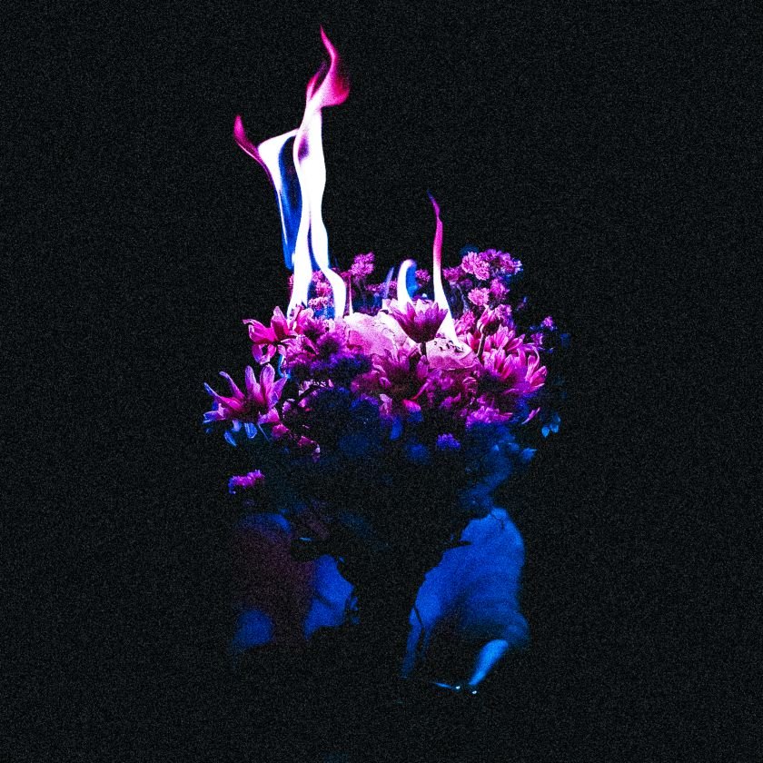 Artwork from Lucien Sunmoon for Nothing Blooms at Midnight