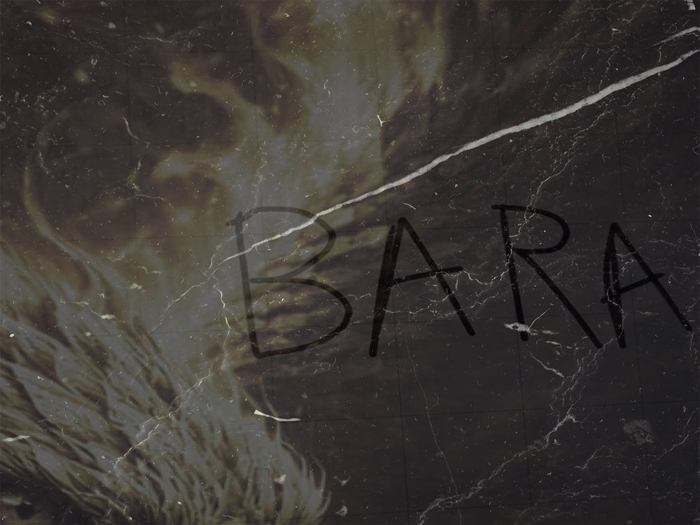 Artwork from EVJ and SEHN for BARA