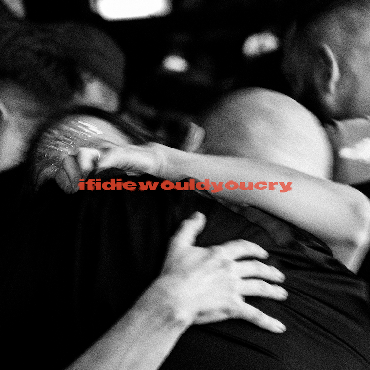 Artwork from AVAION & BUNT. for ifidiewouldyoucry