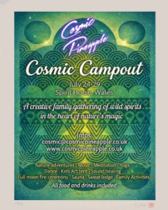 Cosmic Campout1 Rave Colony Rave Colony Flyer from Cosmic Pineapple