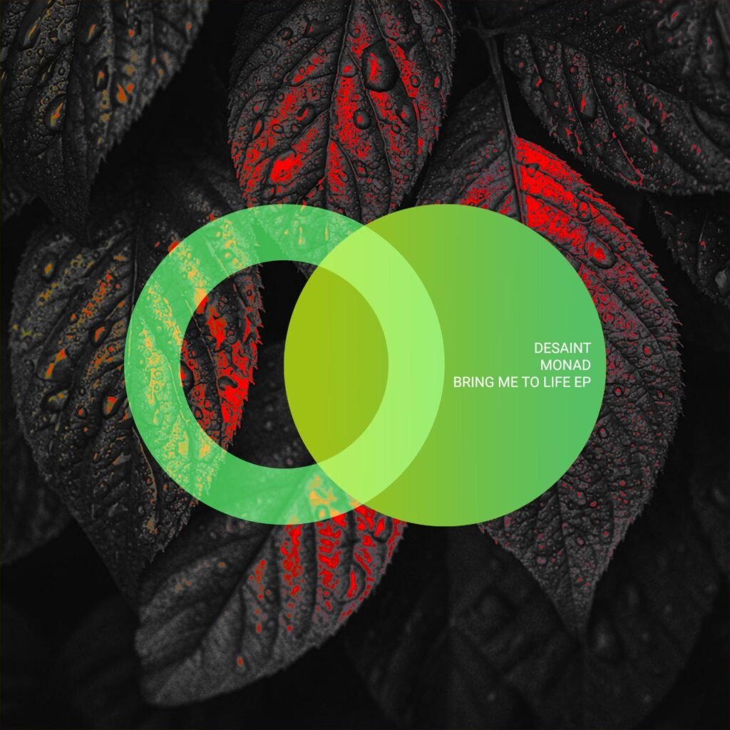 AVE313 Artwork from Desaint and Monad for Bring Me To Life