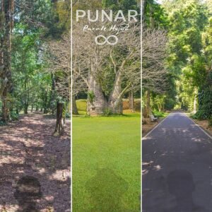Artwork from Parade Hujan for Punar
