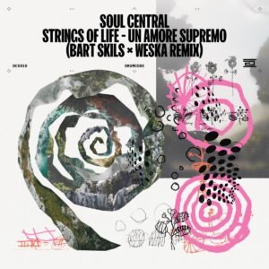 Artwork from Bart Skils & Weska for Strings Of Life